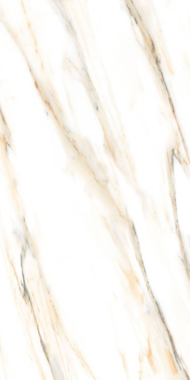 AGL Calacatta Gold Polished 24 x 48 Porcelain Tile