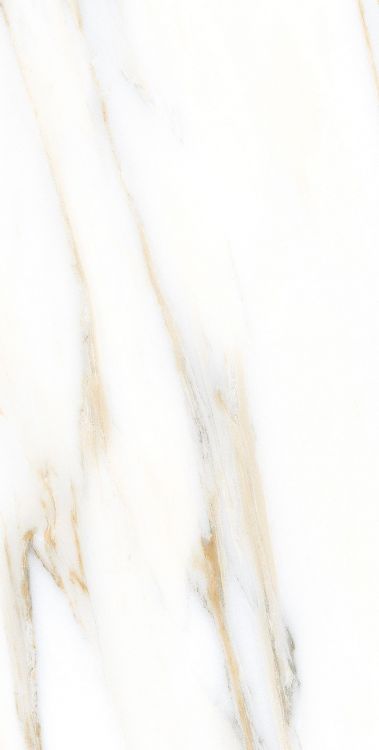 AGL Calacatta Gold Matte 12 x 24 Porcelain Tile