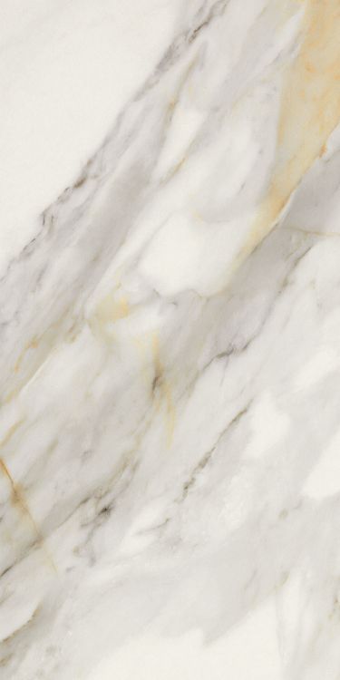 Marmi Macchiavecchia Matte 12 x 24 Italian Porcelain Tile