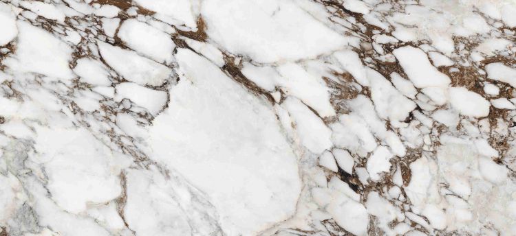 Bijoux Breche Capraia Glossy 6MM 47 x 110 Italian Slab