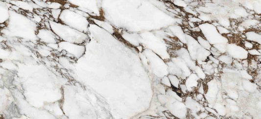 Bijoux Breche Capraia Glossy 6MM 47 x 110 Italian Slab