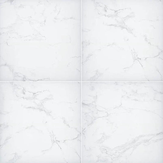 MSI Arterra Praia Carrara 24 x 24 porcelain paver