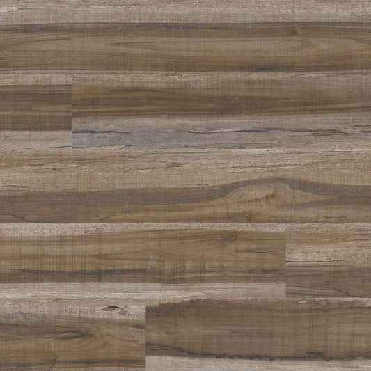 MSI Cyrus Exotika exact color flooring product photograph