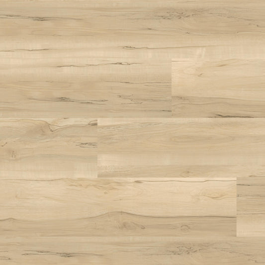 MSI Cyrus Akadia luxury vinyl plank actual product photograph