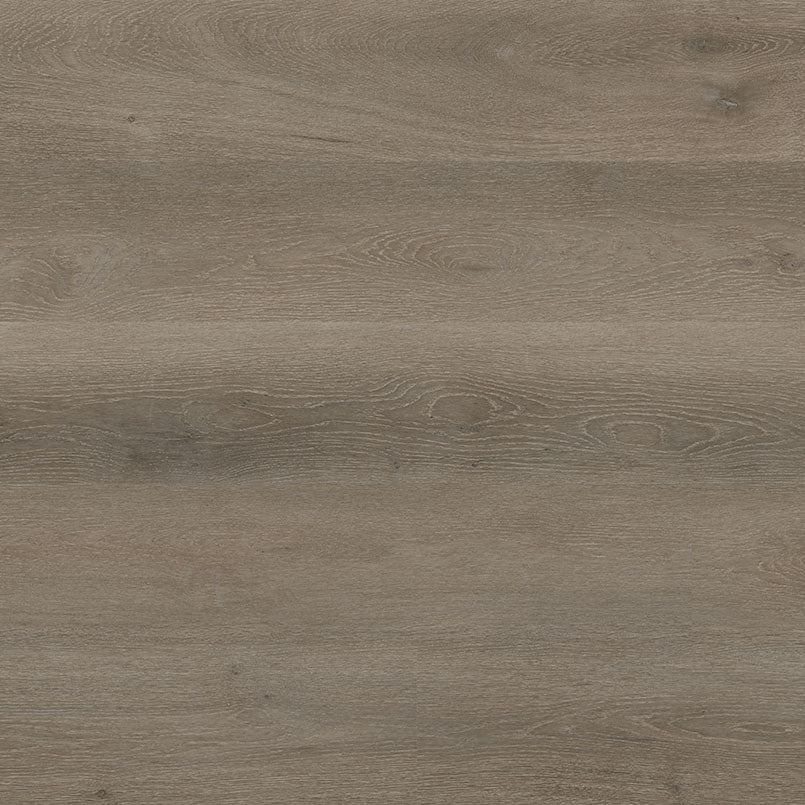 MSI Cyrus Cranton manufacturer plank photo