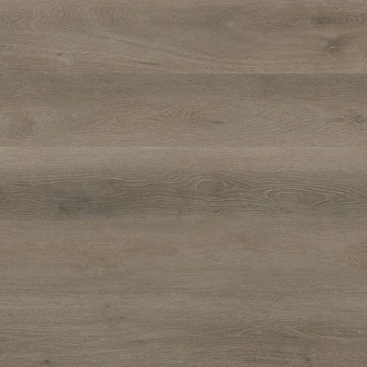 MSI Cyrus Cranton manufacturer plank photo