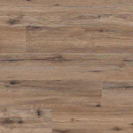 MSI fauna matching color reference for Prescott