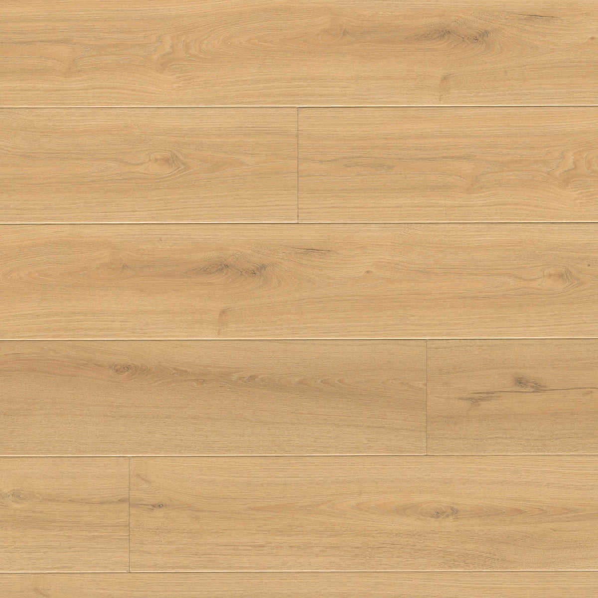 MSI Wayne Parc Elwood flooring product color image
