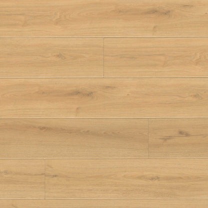 MSI Wayne Parc Elwood flooring product color image