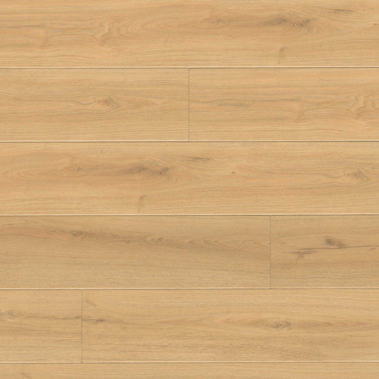 MSI Wayne Parc Elwood flooring product color image