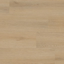 MSI XL Studio manufacturer color photo
