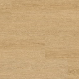 MSI XL Studio manufacturer color photo