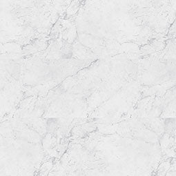 MSI XL Trecento manufacturer color photograph