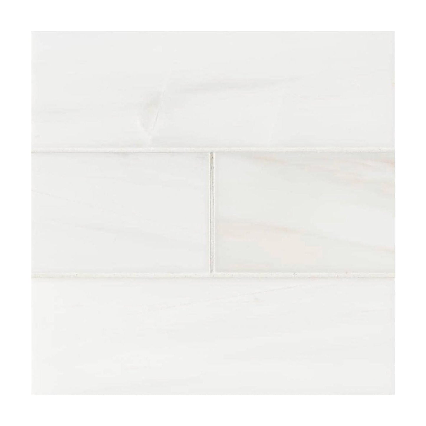 Bianco Dolomite 12x24 - Hey Tiles