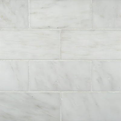 Greecian White 3x6 Backsplash & Wall Tile heytiles   